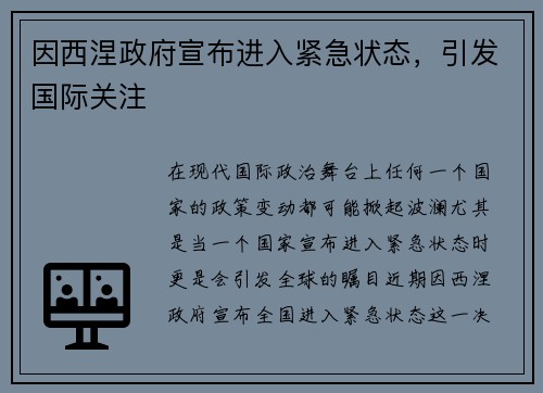 因西涅政府宣布进入紧急状态，引发国际关注
