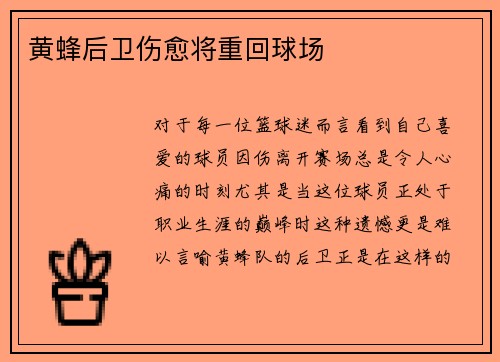 黄蜂后卫伤愈将重回球场